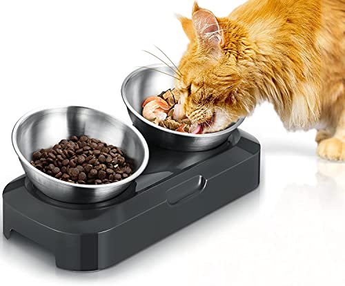 PewinGo Raised Cat Bowl with Stainless Steel, Non-Slip Silicone Mat & Raised Cat Feeder with 15° & 0° Tilting Neck Protective Bowl for Pets, Cats Food and Water Feeding